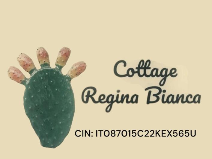 Cottage Regina Bianca, Tutto Cio Che Desideri! Katánie Exteriér fotografie